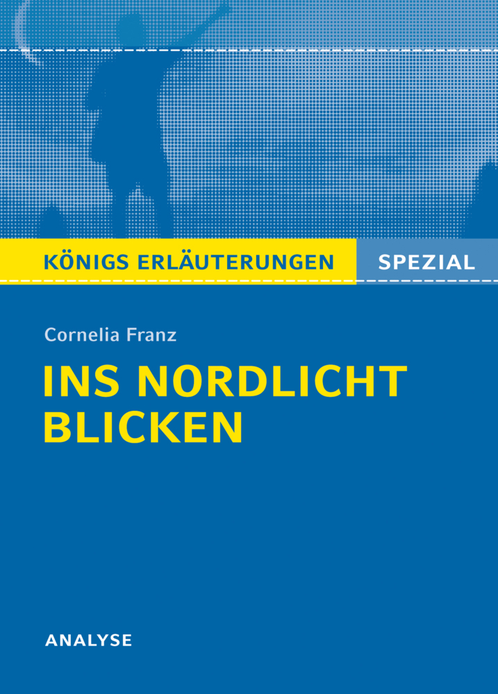 Cover: 9783804430938 | Cornelia Franz "Ins Nordlicht blicken" | Cornelia Franz | Taschenbuch