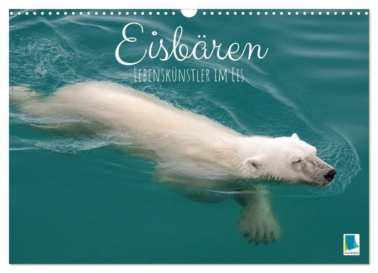 Cover: 9783383653025 | Eisbären: Lebenskünstler im Eis (Wandkalender 2024 DIN A3 quer),...