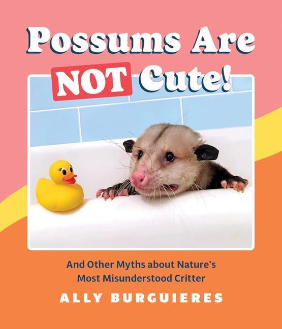 Cover: 9781683692997 | Possums Are Not Cute!: And Other Myths about Nature's Most...