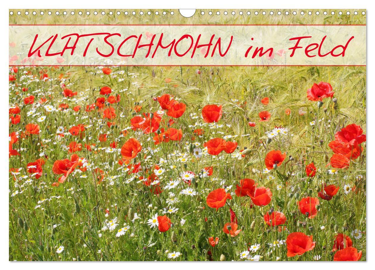 Cover: 9783435288137 | Klatschmohn im Feld (Wandkalender 2025 DIN A3 quer), CALVENDO...