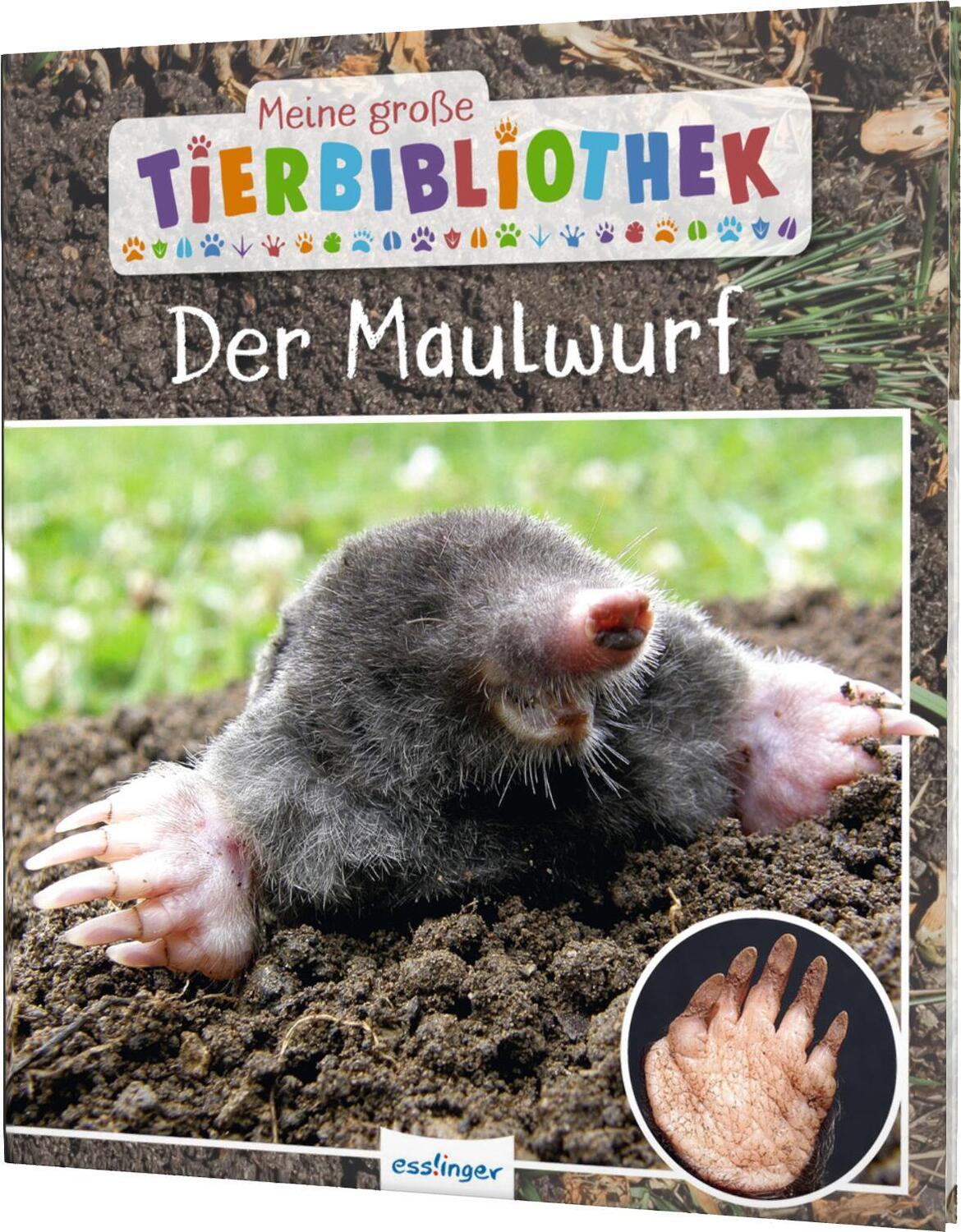 Cover: 9783480236572 | Meine große Tierbibliothek: Der Maulwurf | Jens Poschadel | Buch