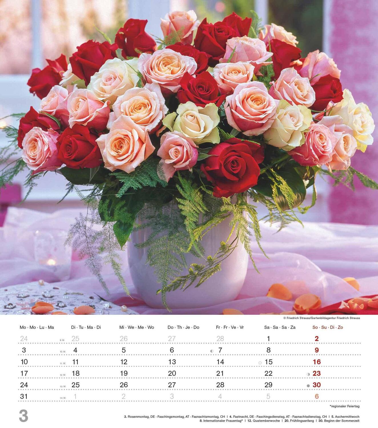 Bild: 4251732342135 | Der Duft der Rosen 2025 - Bildkalender 30x34 cm - Kalender mit wohl...