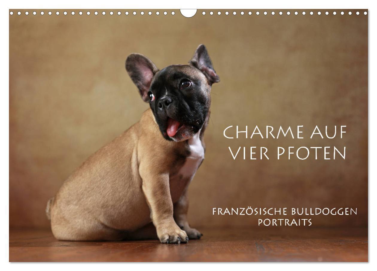 Cover: 9783675575097 | Charme auf vier Pfoten - Französische Bulldoggen Portraits...