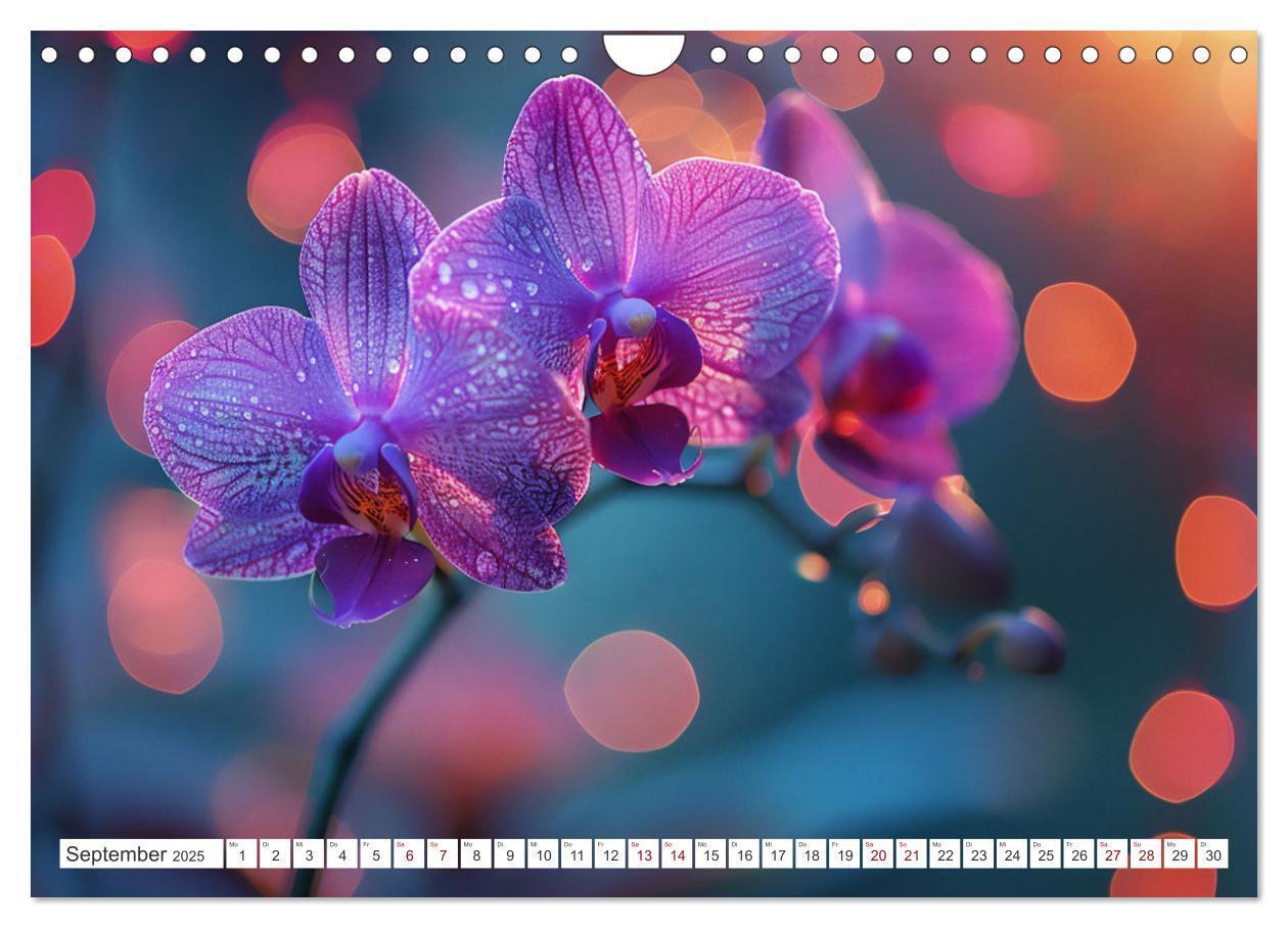 Bild: 9783457165089 | Orchideen - farbenfroh durchs Jahr (Wandkalender 2025 DIN A4 quer),...