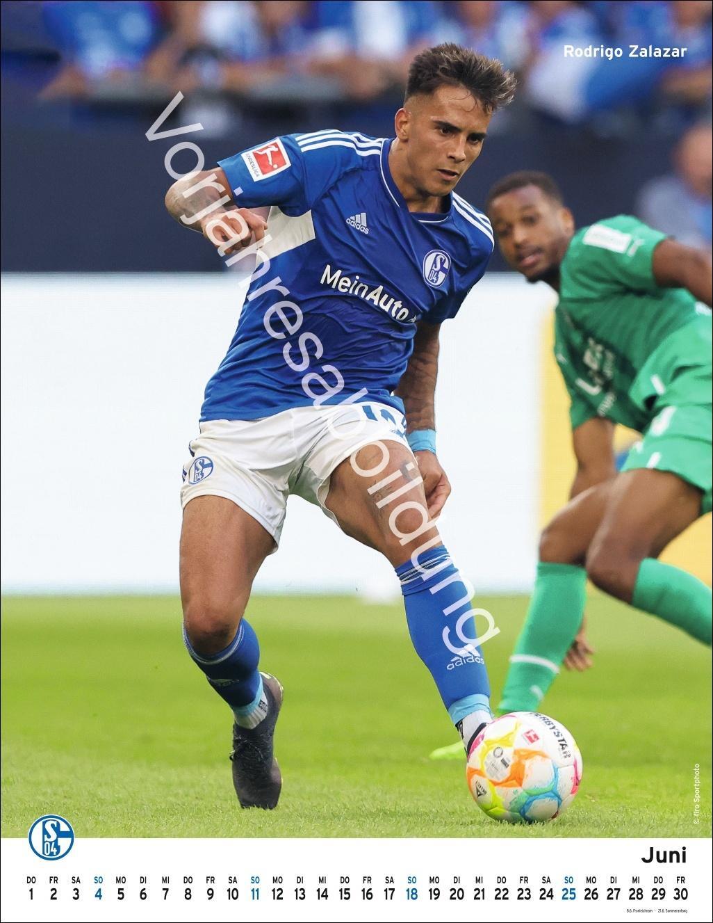 Bild: 9783756406197 | Schalke 04 Posterkalender 2025 | Kalender | Bundesliga Kalender Heye