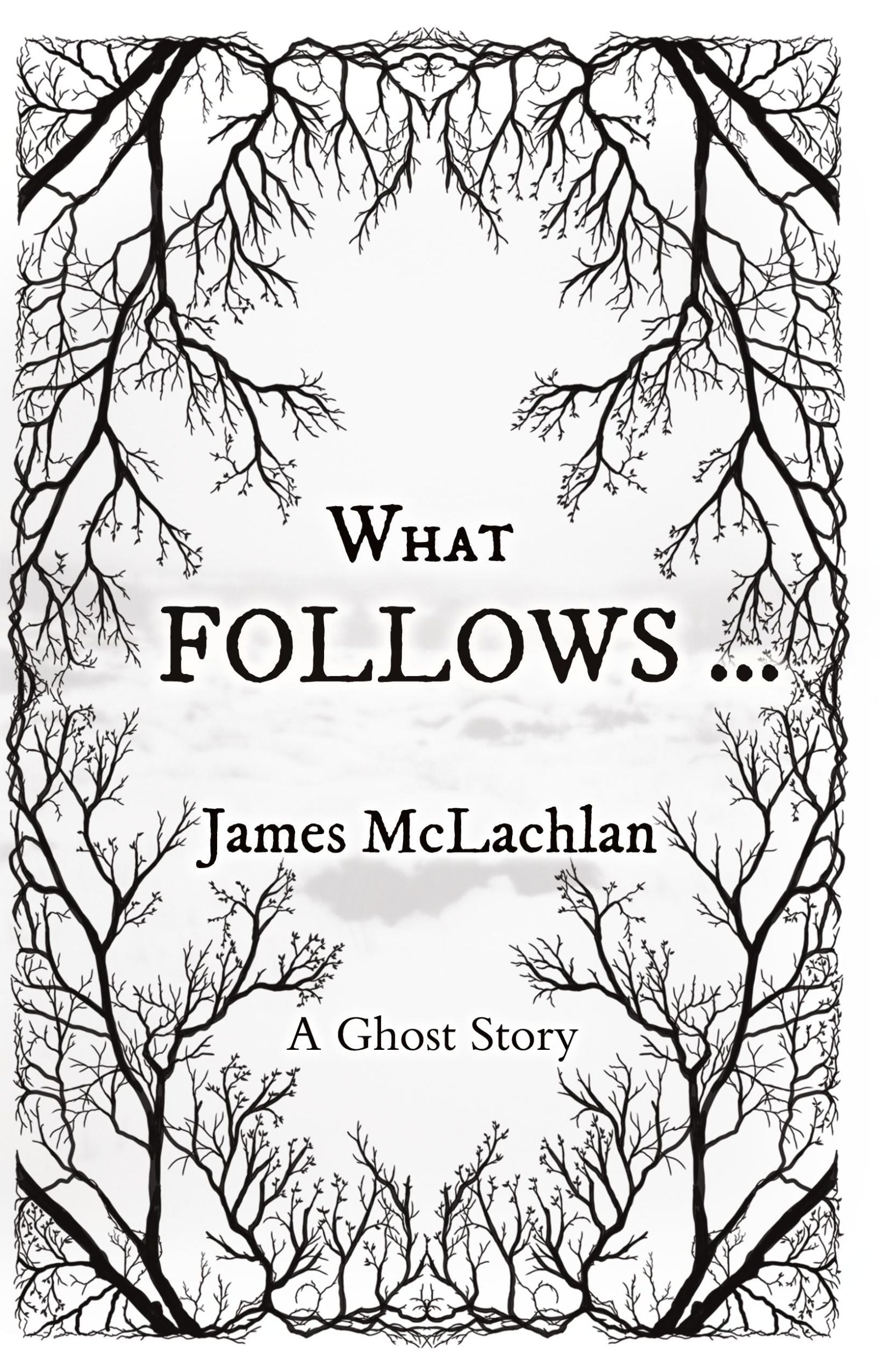 Cover: 9780645950922 | What Follows ... | A Ghost Story | James McLachlan | Taschenbuch