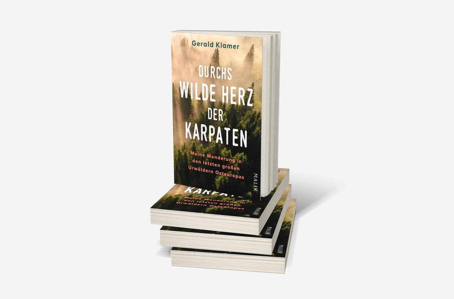 Bild: 9783890295794 | Durchs wilde Herz der Karpaten | Gerald Klamer | Taschenbuch | 272 S.