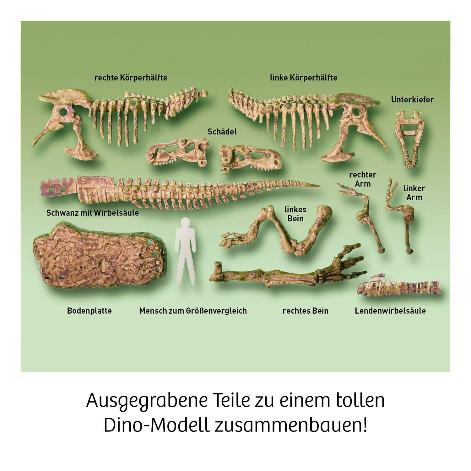 Bild: 4002051636159 | T-REX - 3D | Experimentierkasten | Spiel | Brettspiel | 636159 | 2022