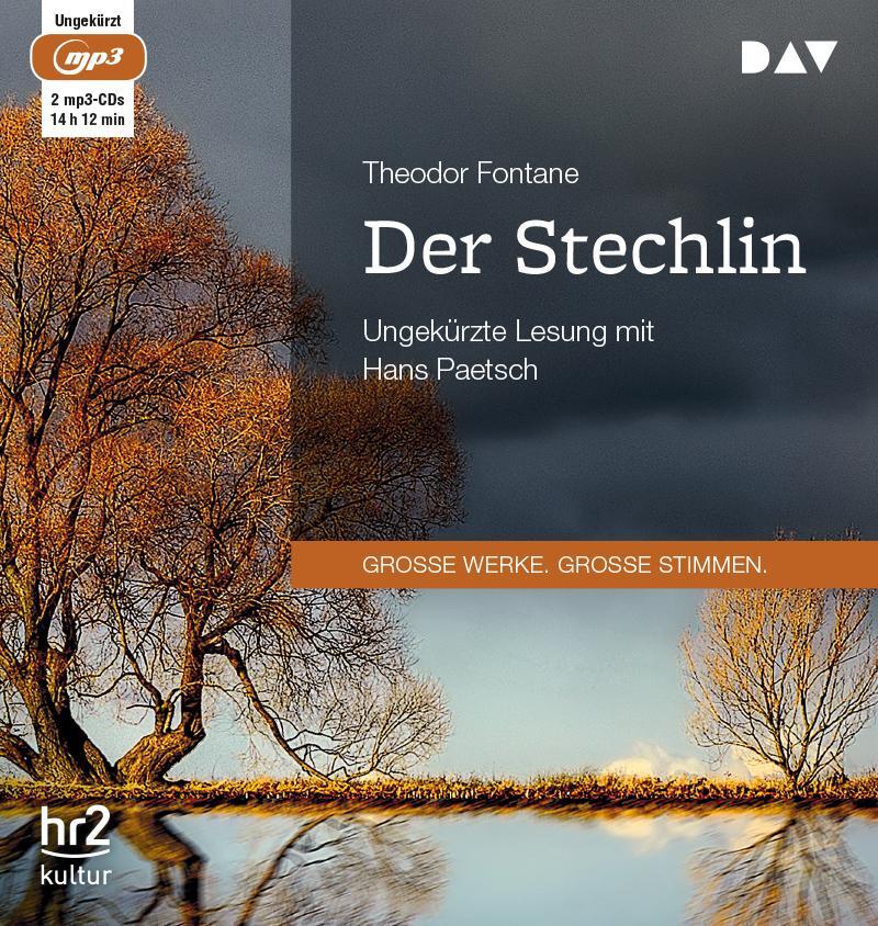 Cover: 9783862317271 | Der Stechlin | Ungekürzte Lesung | Theodor Fontane | MP3 | 2 | Deutsch