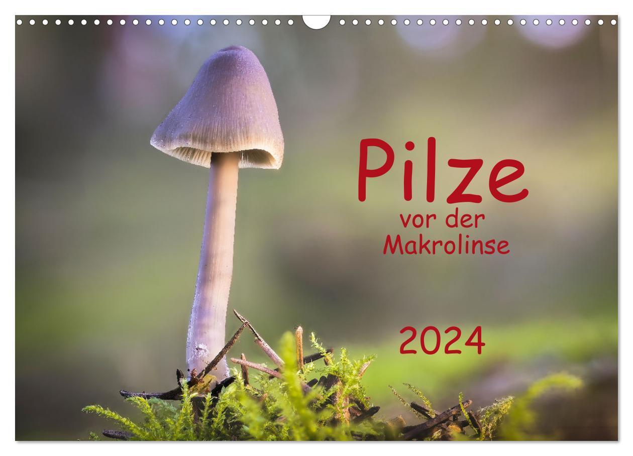 Cover: 9783383647376 | Pilze vor der Makrolinse 2024 (Wandkalender 2024 DIN A3 quer),...
