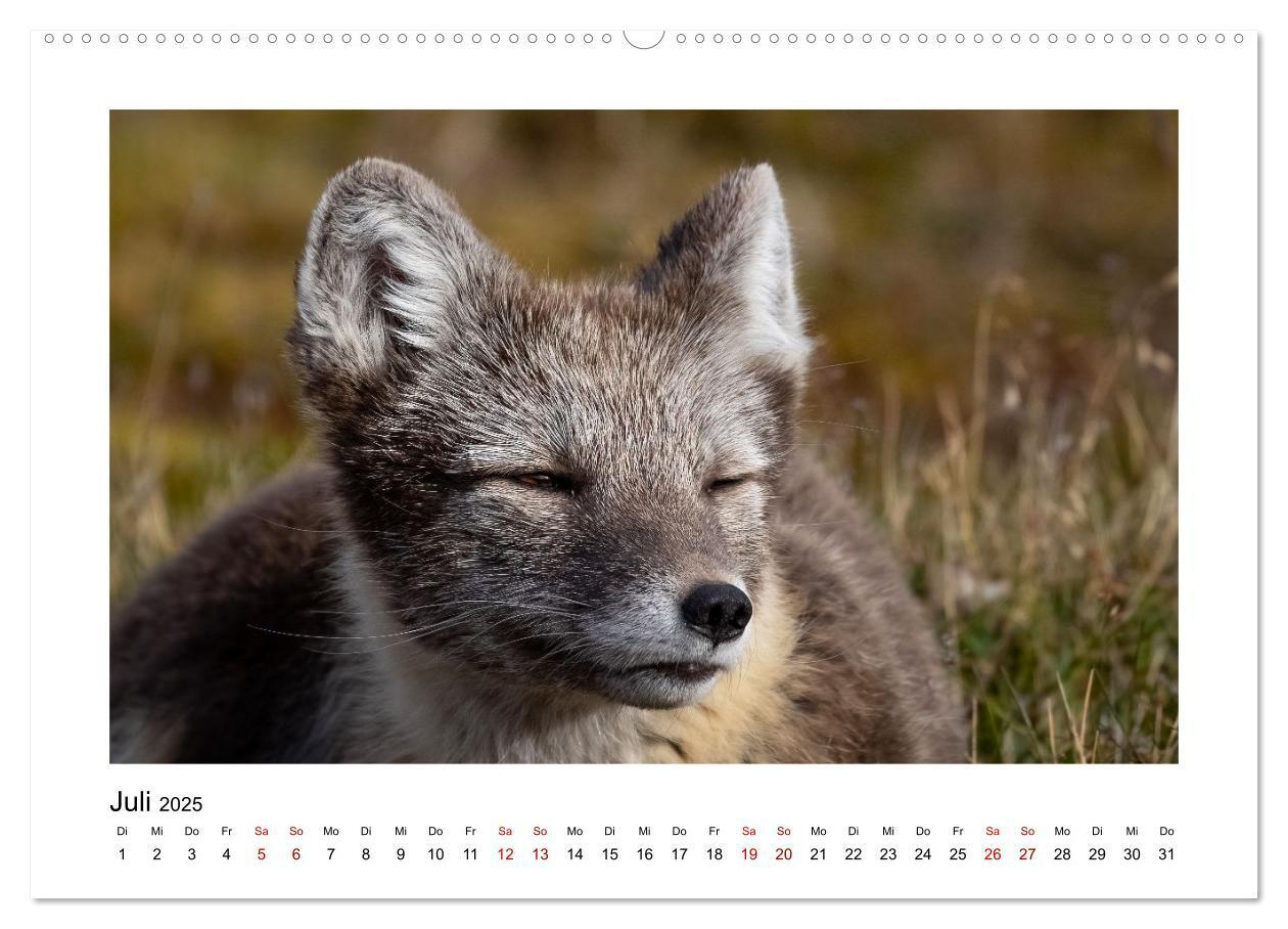 Bild: 9783383885167 | Spitzbergen und der Polarkreis (hochwertiger Premium Wandkalender...