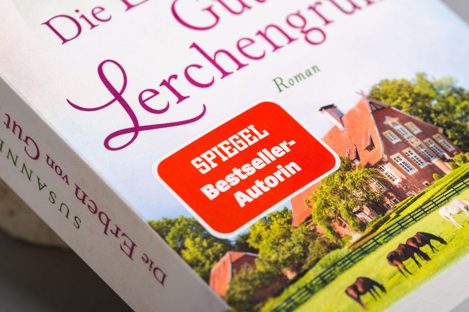 Bild: 9783453423862 | Die Erben von Gut Lerchengrund | Roman | Susanne Rubin | Taschenbuch