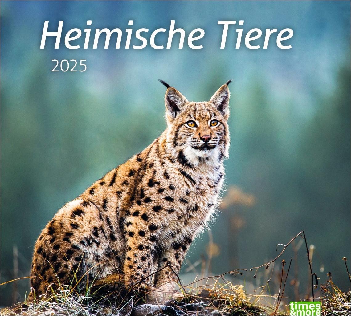Cover: 9783756406913 | Heimische Tiere Bildkalender 2025 | Kalender | Spiralbindung | 14 S.