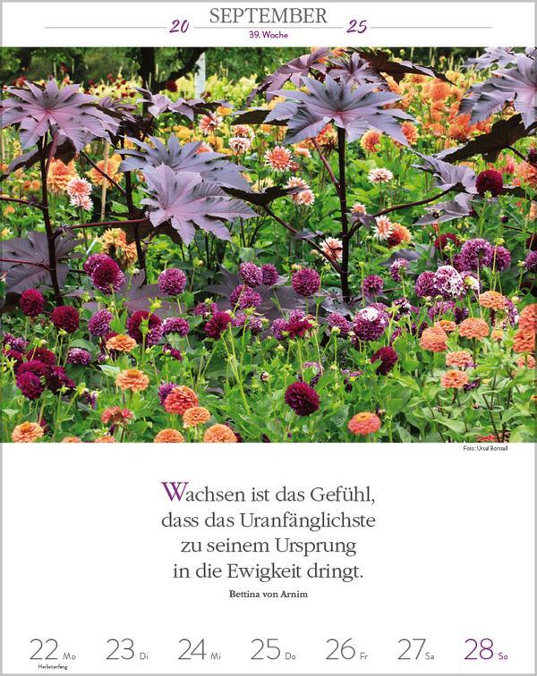 Bild: 9783731879497 | Literaturkalender Gartenlust 2025 | Verlag Korsch | Kalender | 54 S.