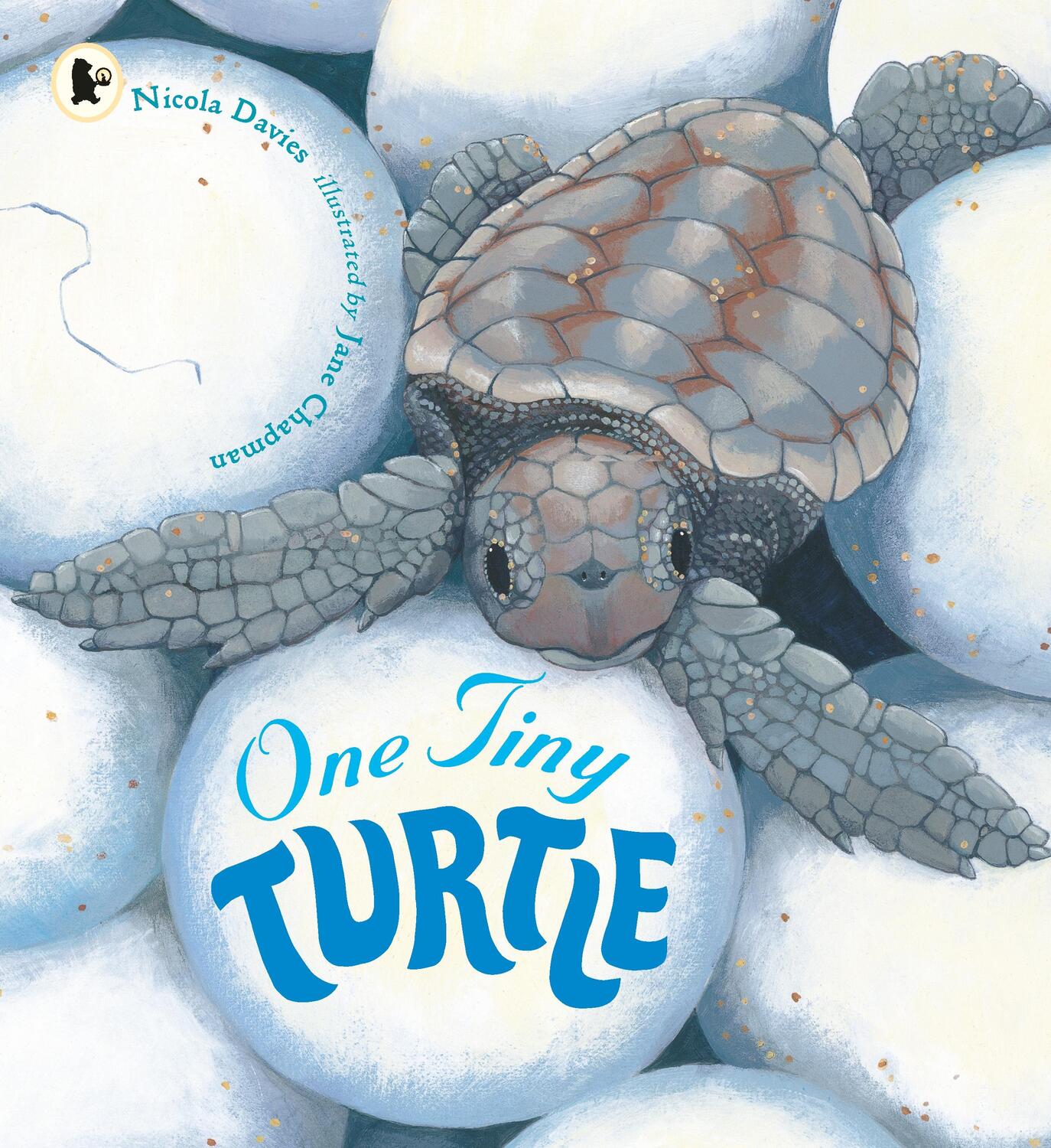 Cover: 9781406364637 | One Tiny Turtle | Nicola Davies | Taschenbuch | Nature Storybooks