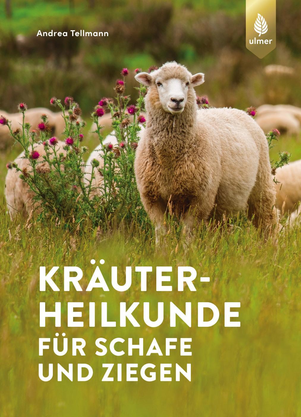 Cover: 9783818617431 | Kräuterheilkunde für Schafe und Ziegen | Andrea Tellmann | Taschenbuch