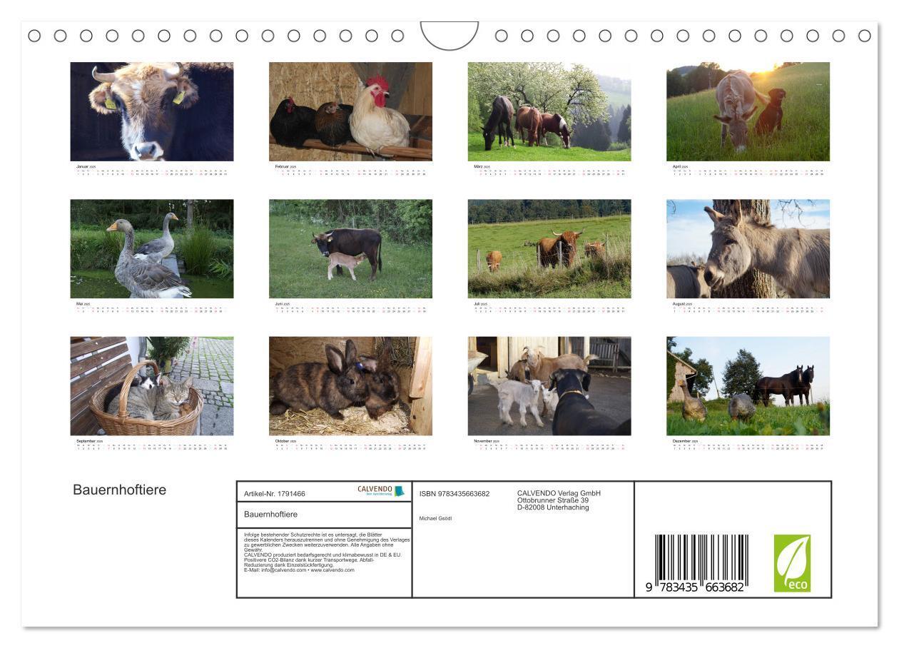 Bild: 9783435663682 | Bauernhoftiere (Wandkalender 2025 DIN A4 quer), CALVENDO...