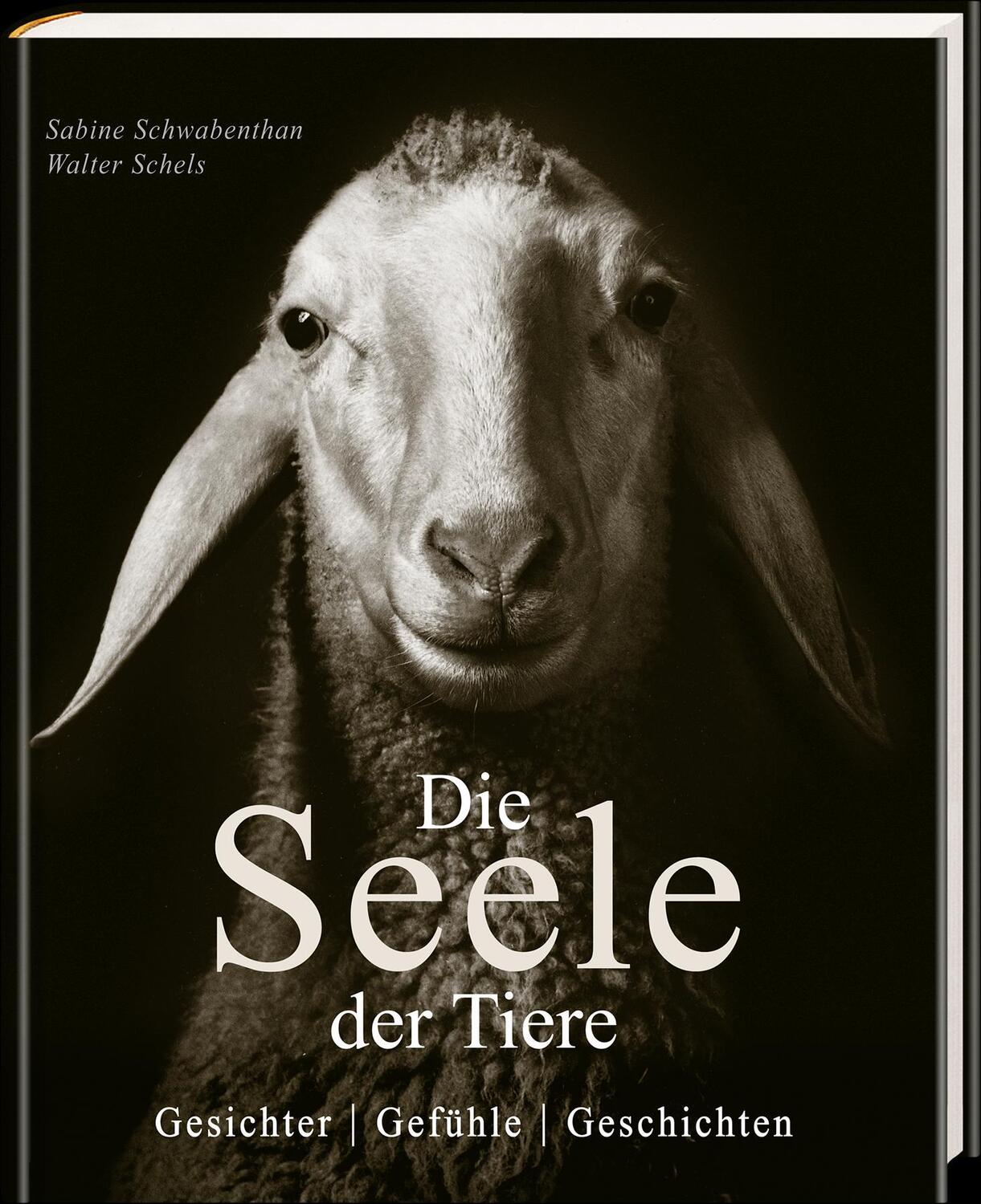 Bild: 9783809448006 | Die Seele der Tiere. Gesichter. Gefühle. Geschichten | Buch | 160 S.