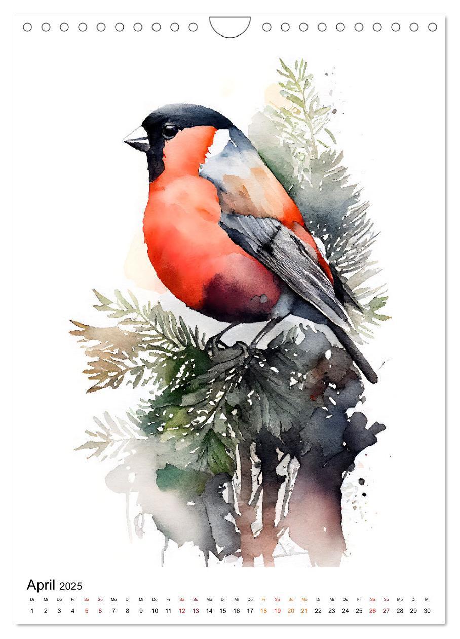 Bild: 9783435884469 | Waldtiere in Aquarell - Heimische Tierarten (Wandkalender 2025 DIN...