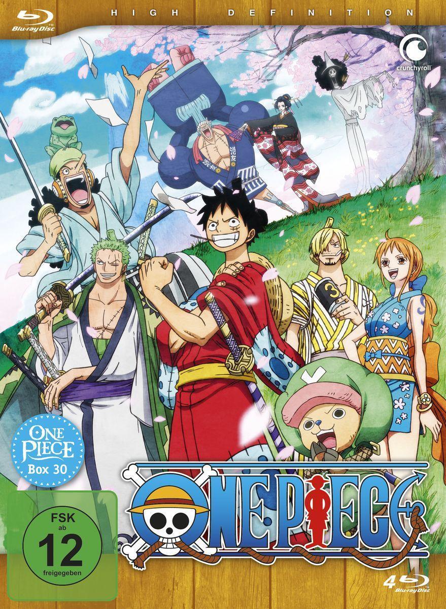 Cover: 7630017530394 | One Piece - TV-Serie - Box 30 (Episoden 878 - 902) | Miyamoto (u. a.)