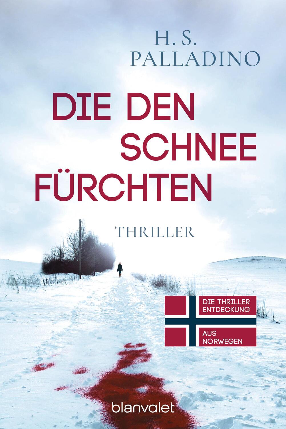 Cover: 9783734112713 | Die den Schnee fürchten | Thriller | H. S. Palladino | Taschenbuch