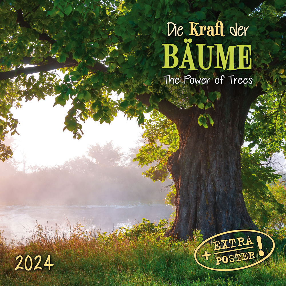 Cover: 9783959293235 | Die Kraft der Bäume 2024 | Kalender 2024 | Kalender | Drahtheftung