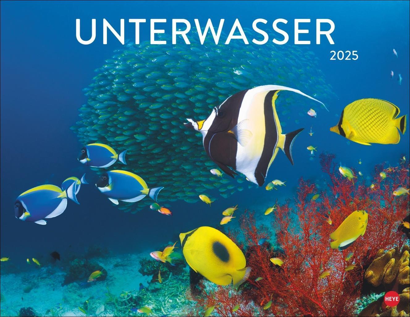 Cover: 9783756405121 | Unterwasser Posterkalender 2025 | Kalender | Spiralbindung | 14 S.