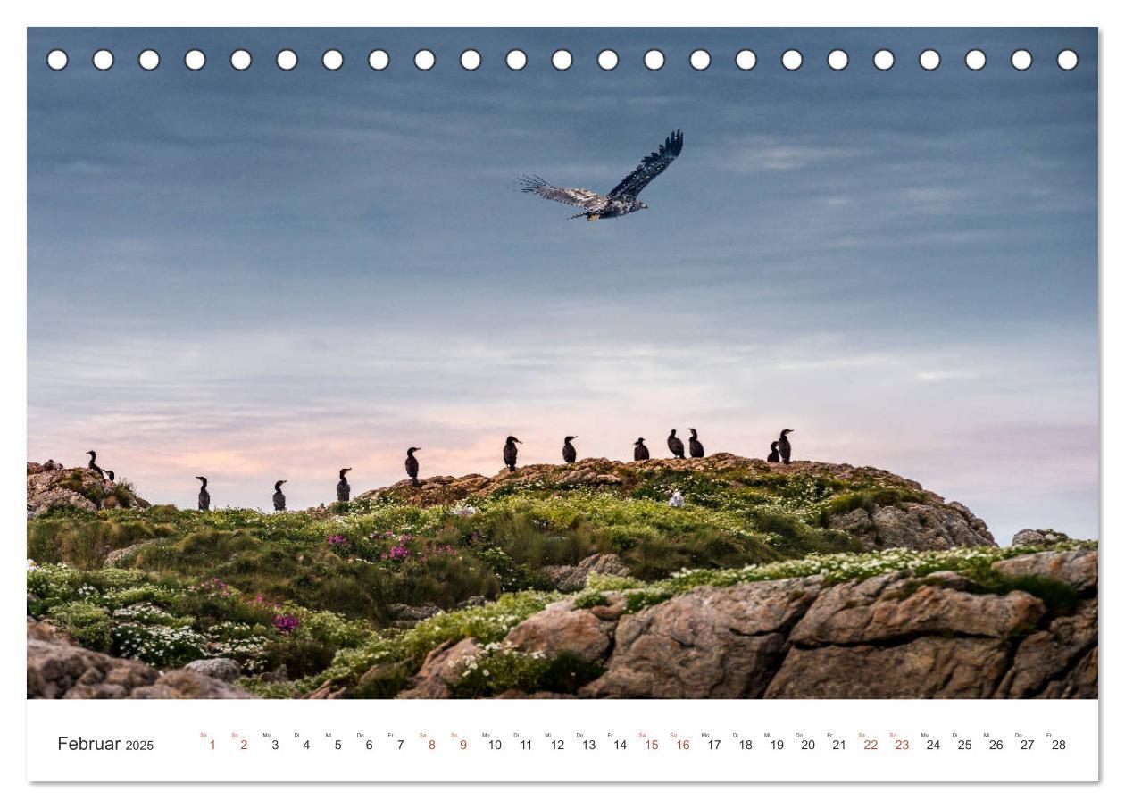 Bild: 9783435339051 | Nordland ¿ Die Weite Skandinaviens (Tischkalender 2025 DIN A5...