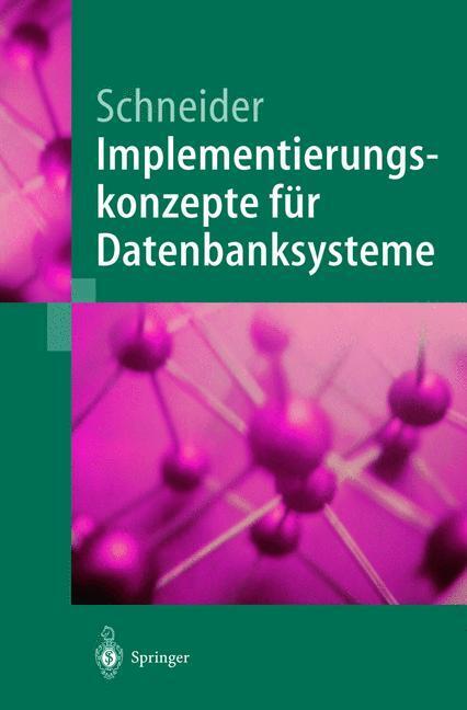 Cover: 9783540419624 | Implementierungskonzepte für Datenbanksysteme | Markus Schneider