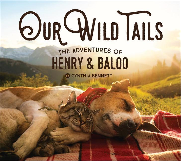 Cover: 9781423654056 | Our Wild Tails | The Adventures of Henry and Baloo | Cynthia Bennett