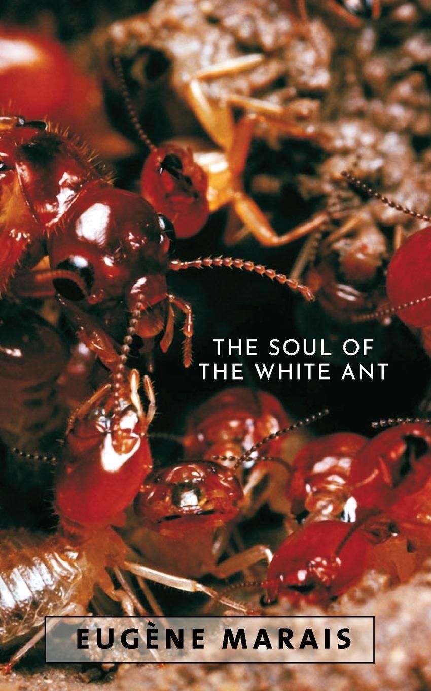 Cover: 9780980297652 | The Soul of the White Ant | Eugene N Marais | Taschenbuch | Paperback
