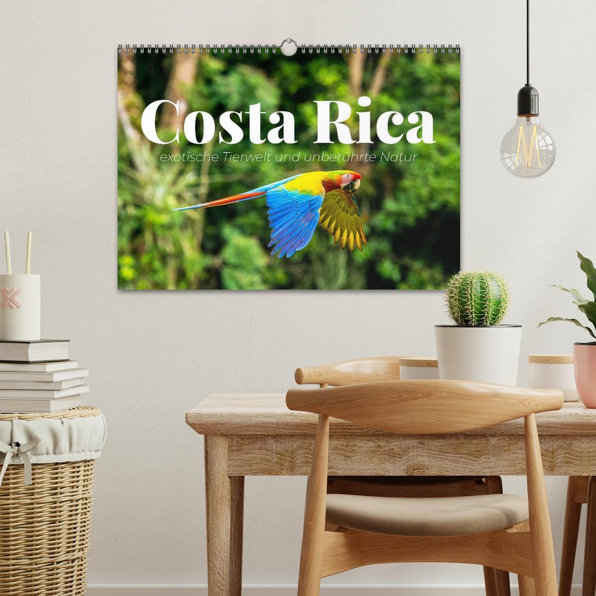 Bild: 9783435153534 | Costa Rica - exotische Tierwelt und unberührte Natur (Wandkalender...