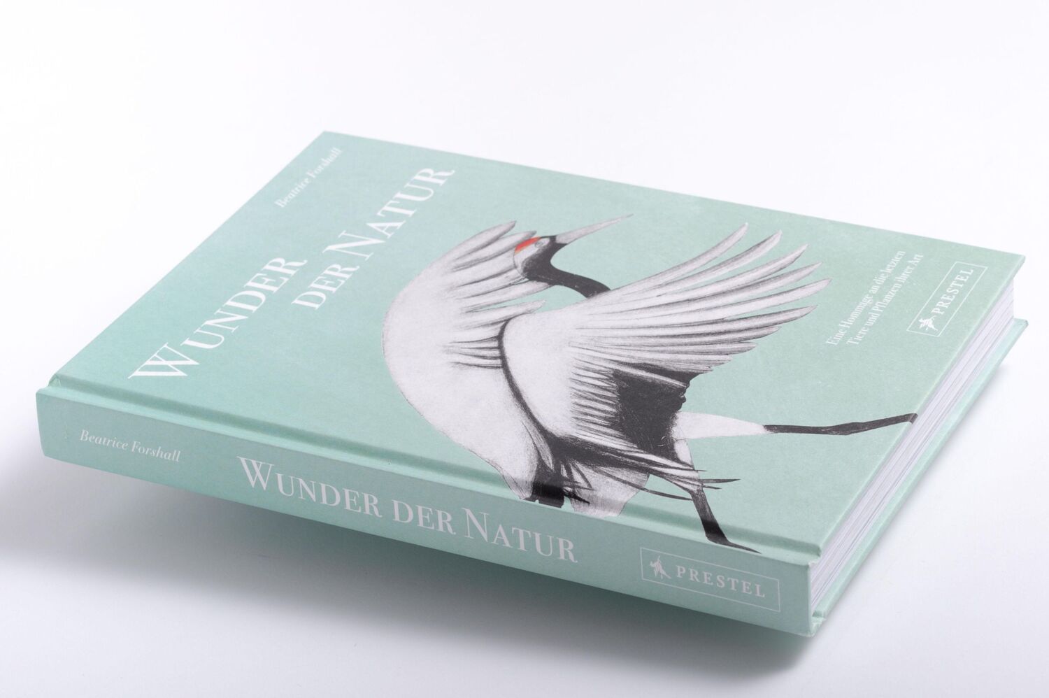 Bild: 9783791389462 | Wunder der Natur | Beatrice Forshall | Buch | 256 S. | Deutsch | 2023