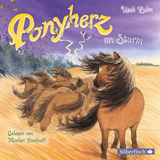 Cover: 9783745601206 | Ponyherz 14: Ponyherz im Sturm, 1 Audio-CD | 1 CD | Usch Luhn | CD