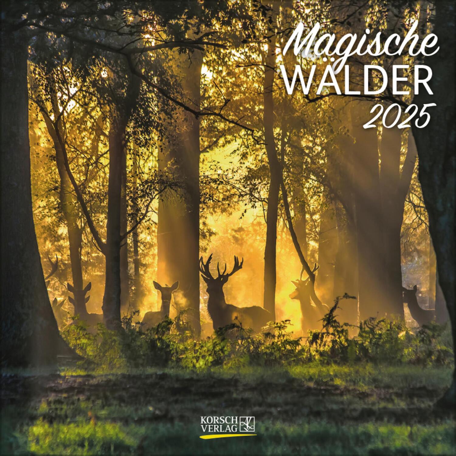 Cover: 9783731875529 | Magische Wälder 2025 | Verlag Korsch | Kalender | 13 S. | Deutsch