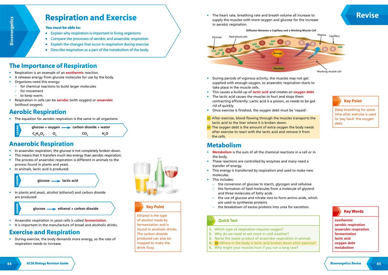 Bild: 9780008160678 | AQA GCSE 9-1 Biology Revision Guide | Collins Gcse | Taschenbuch