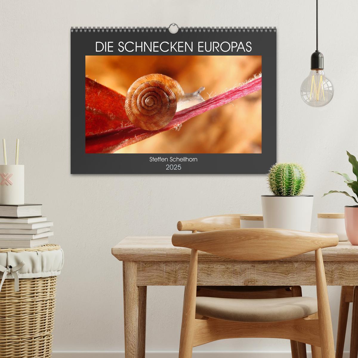 Bild: 9783435076086 | DIE SCHNECKEN EUROPAS (Wandkalender 2025 DIN A3 quer), CALVENDO...