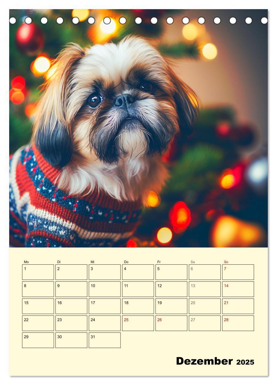 Bild: 9783435874514 | Shih Tzu Alarm. Glückliche Wuschelköpfe (Tischkalender 2025 DIN A5...