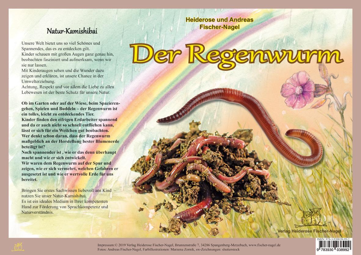 Cover: 9783930038992 | Natur-Kamishibai / Natur-Kamishibai - Der Regenwurm | Natur-Kamishibai