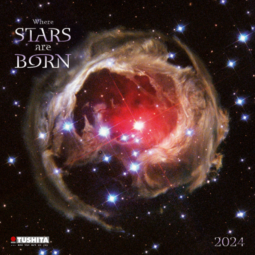 Cover: 9783959292207 | Where Stars are Born 2024 | Kalender 2024 | Kalender | Drahtheftung