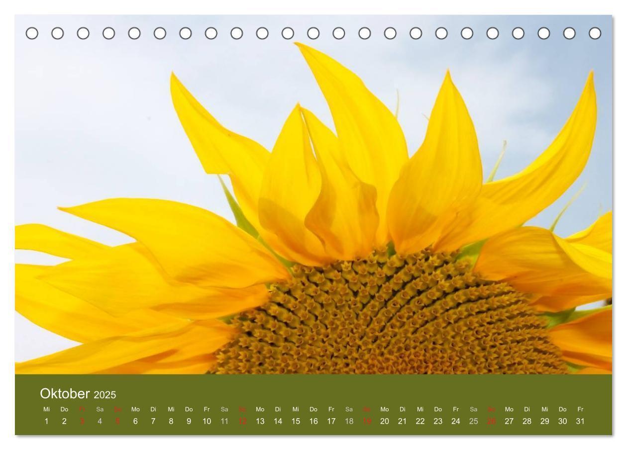 Bild: 9783435798957 | Sonnenblumen - die Blumen der Lebensfreude (Tischkalender 2025 DIN...