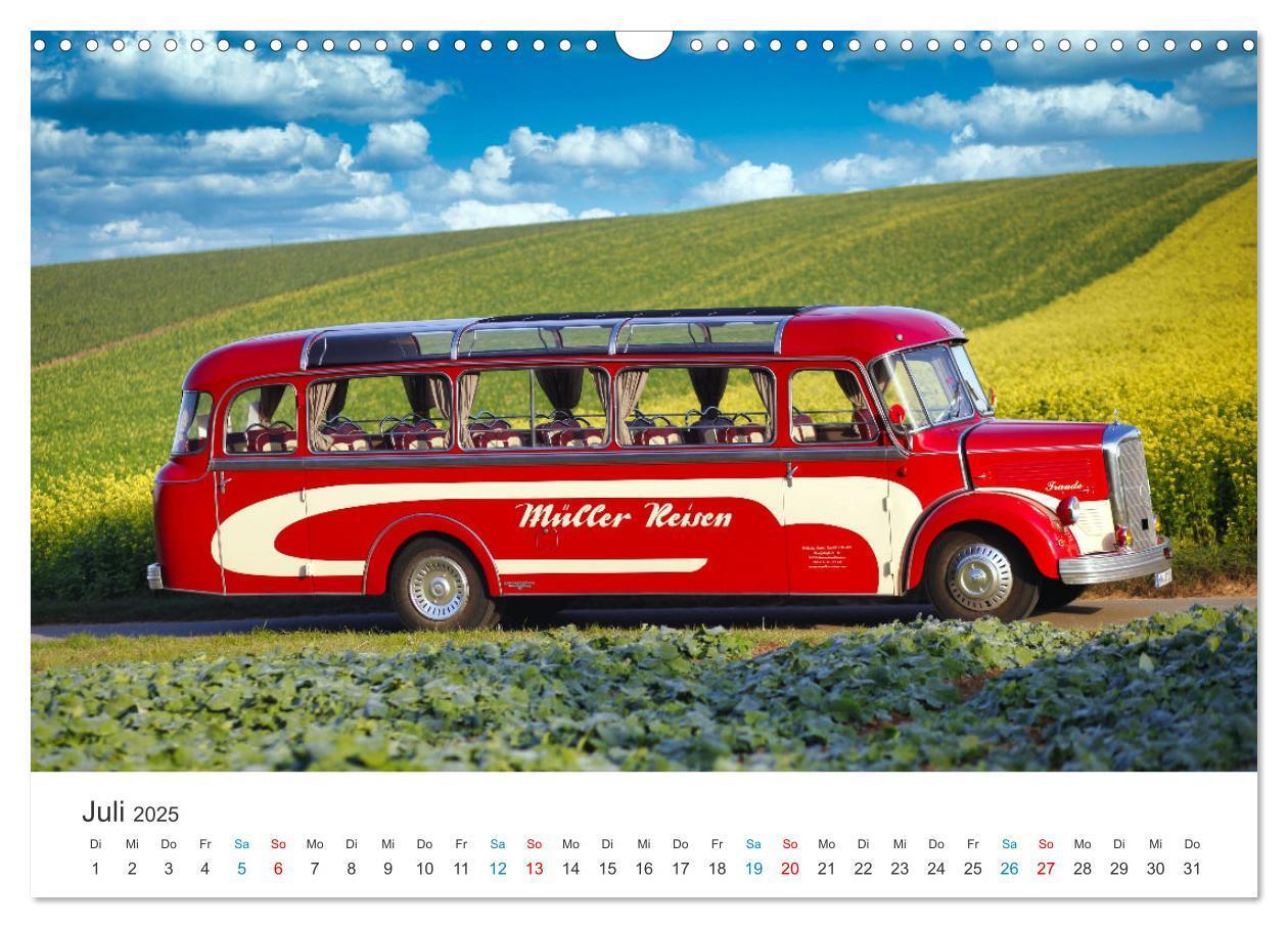 Bild: 9783383829925 | Omnibusse im Fokus (Wandkalender 2025 DIN A3 quer), CALVENDO...