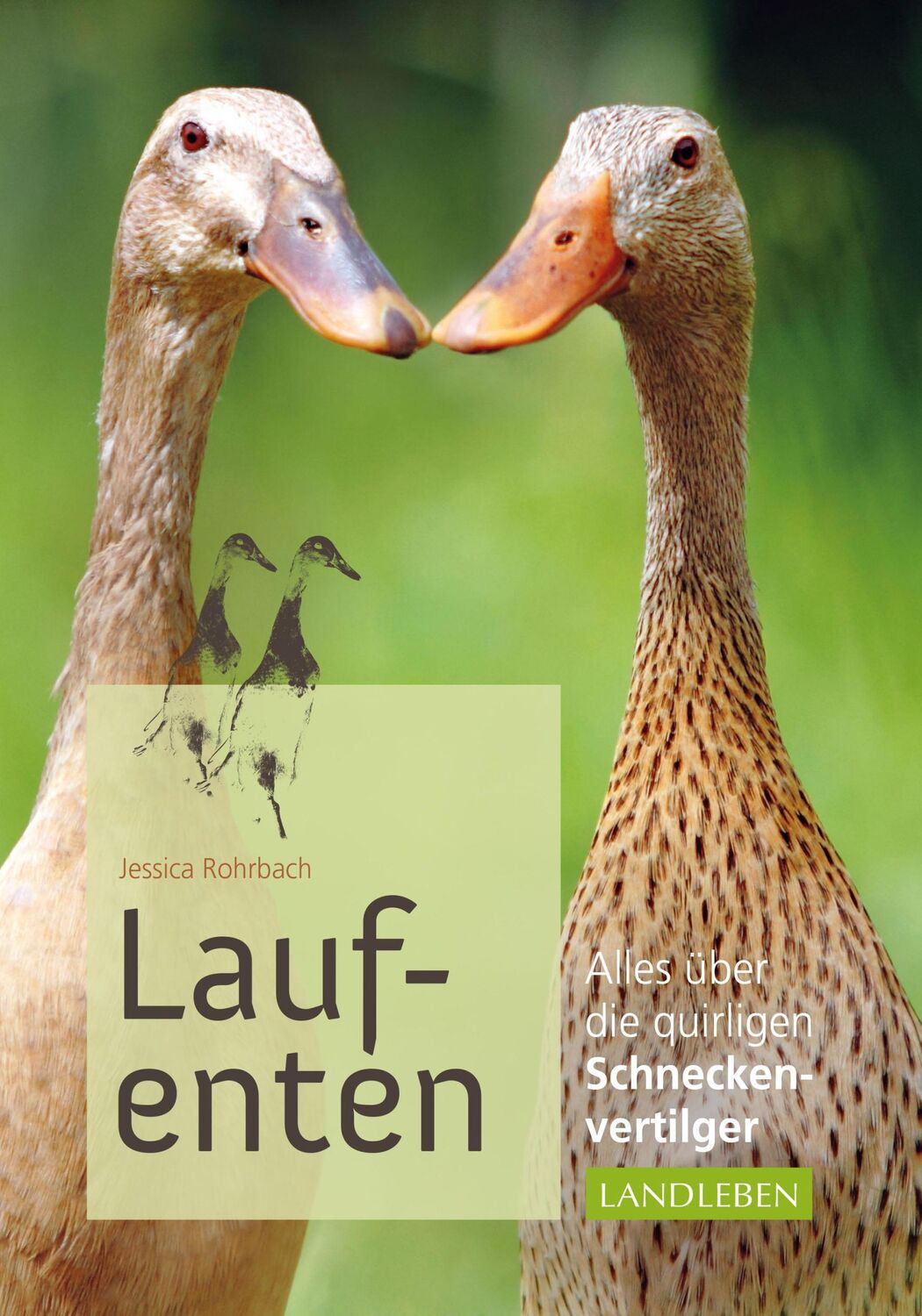 Cover: 9783840430244 | Laufenten | Alles über die quirligen Schneckenfresser | Rohrbach