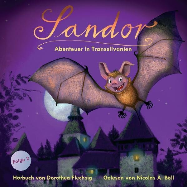 Cover: 9783000330452 | Sandor, Abenteuer in Transsilvanien, 1 Audio-CD | Lesung | Flechsig