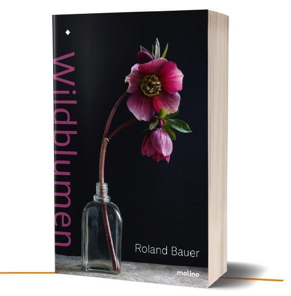 Cover: 9783948696078 | Wildblumen | Buch | 173 S. | Deutsch | 2020 | Molino Verlag GmbH