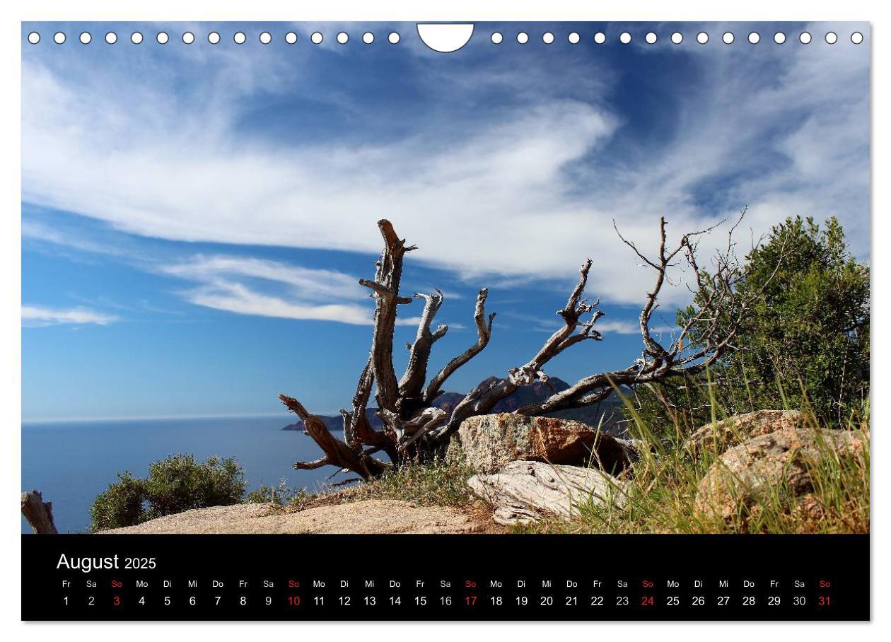 Bild: 9783435466177 | Korsika - Mediterrane Vielfalt (Wandkalender 2025 DIN A4 quer),...