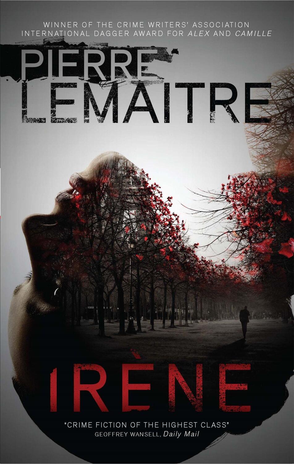 Cover: 9780857056245 | Irène: The Commandant Camille Verhoeven Trilogy | Pierre Lemaitre