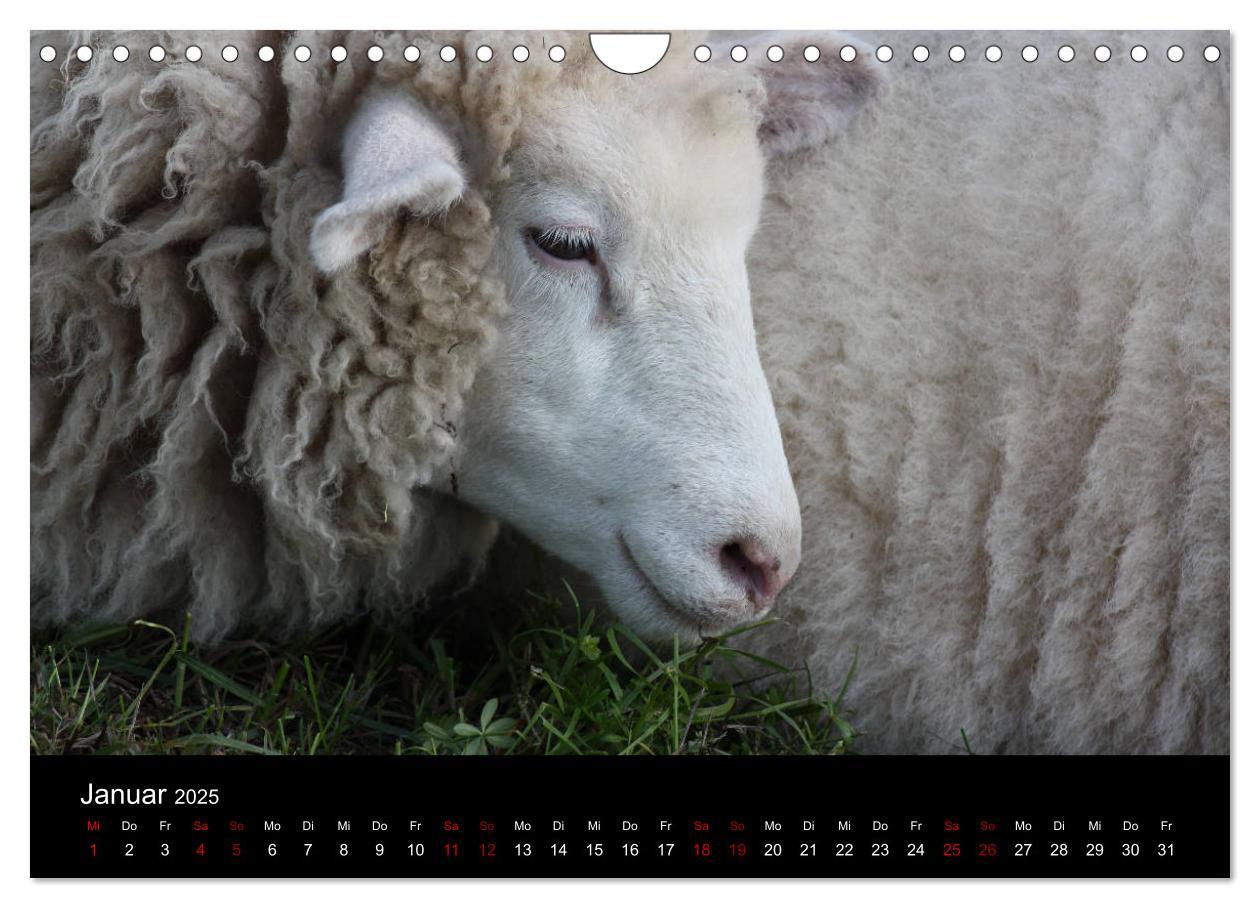 Bild: 9783435394340 | Eulhof (Wandkalender 2025 DIN A4 quer), CALVENDO Monatskalender | 2025