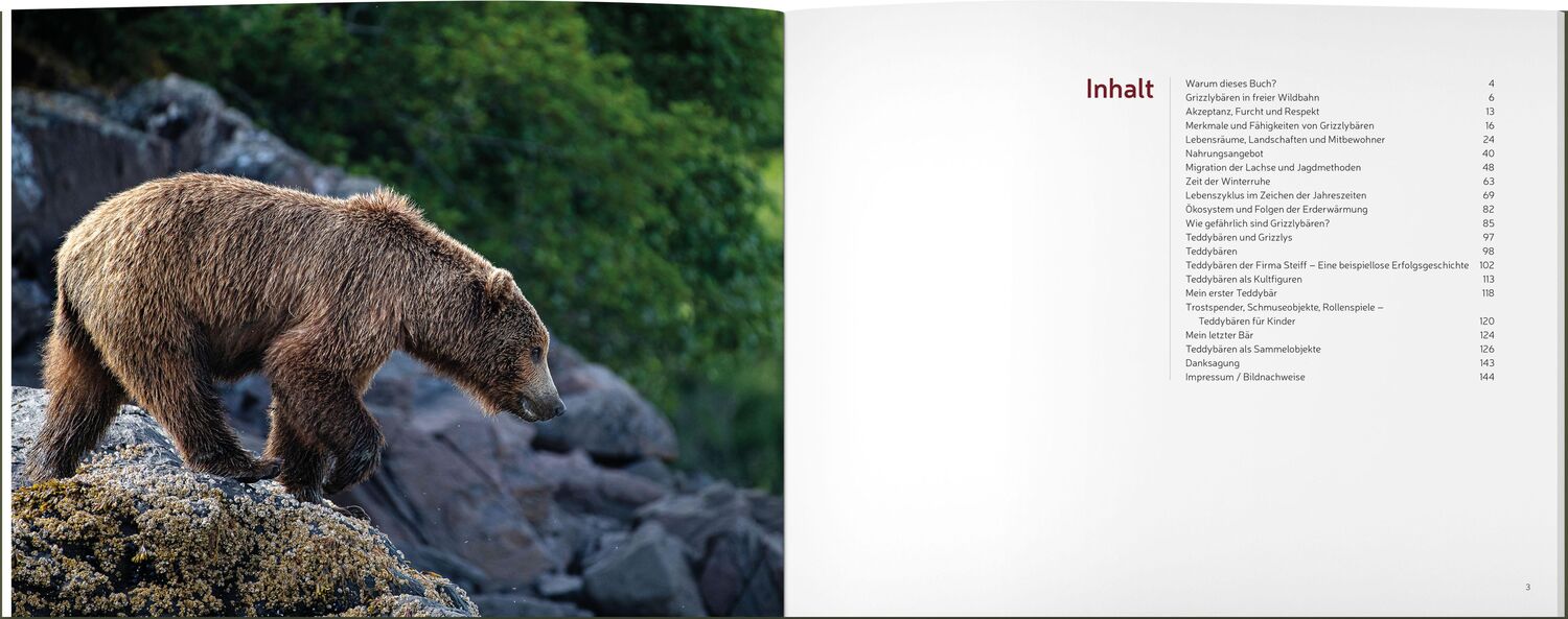 Bild: 9783943969306 | Vom Grizzly zum Teddybär | bärenstark und bärenlieb | Thomas Lange