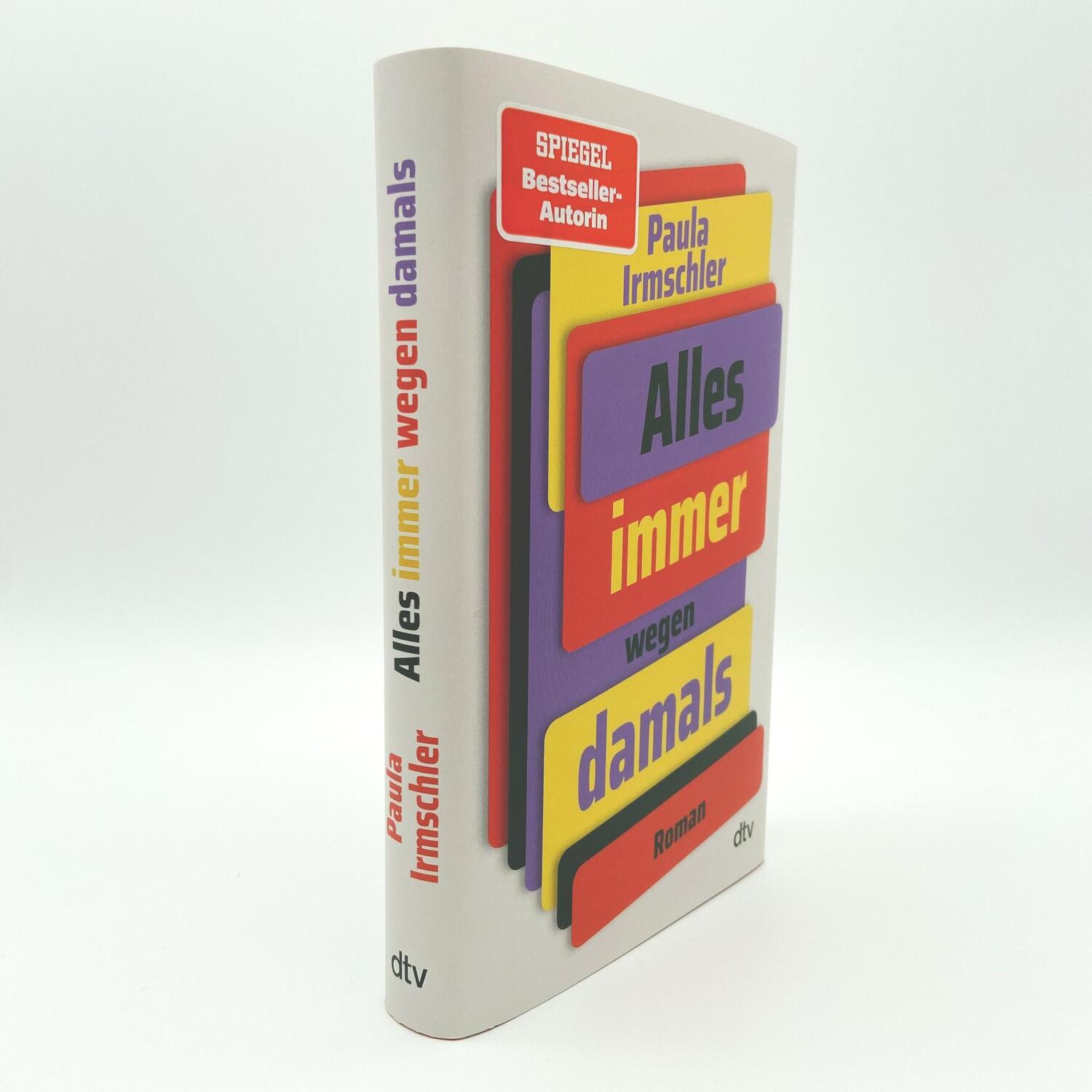 Bild: 9783423283342 | Alles immer wegen damals | Paula Irmschler | Buch | 320 S. | Deutsch